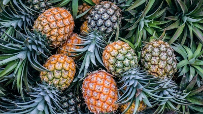Pineapple - Organic